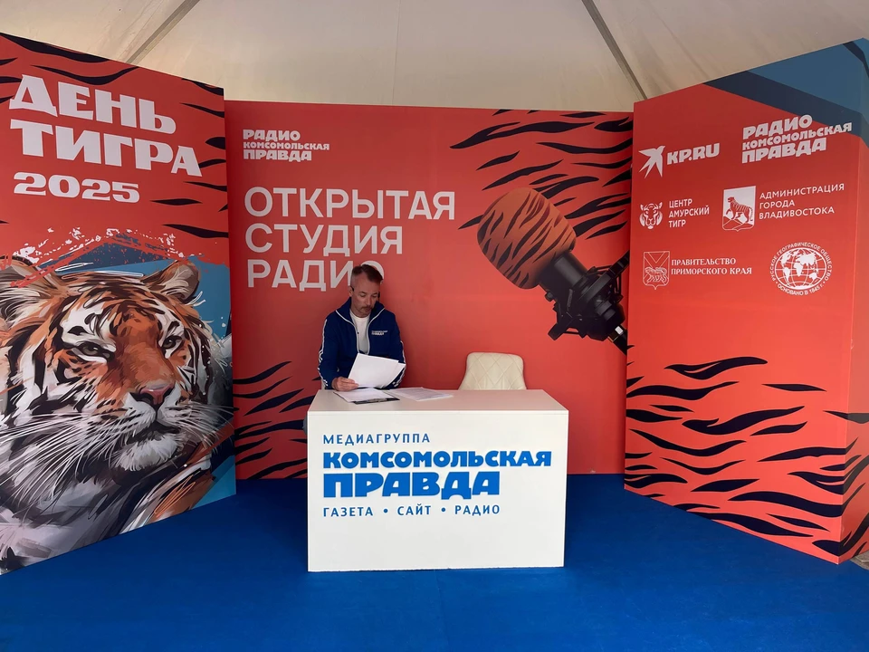 На радио «Комсомольская правда» выступят эксперты по охране тигров, руководители заповедников и другие интересные спикеры. Фото: «Комсомольская правда – Дальний Восток»
