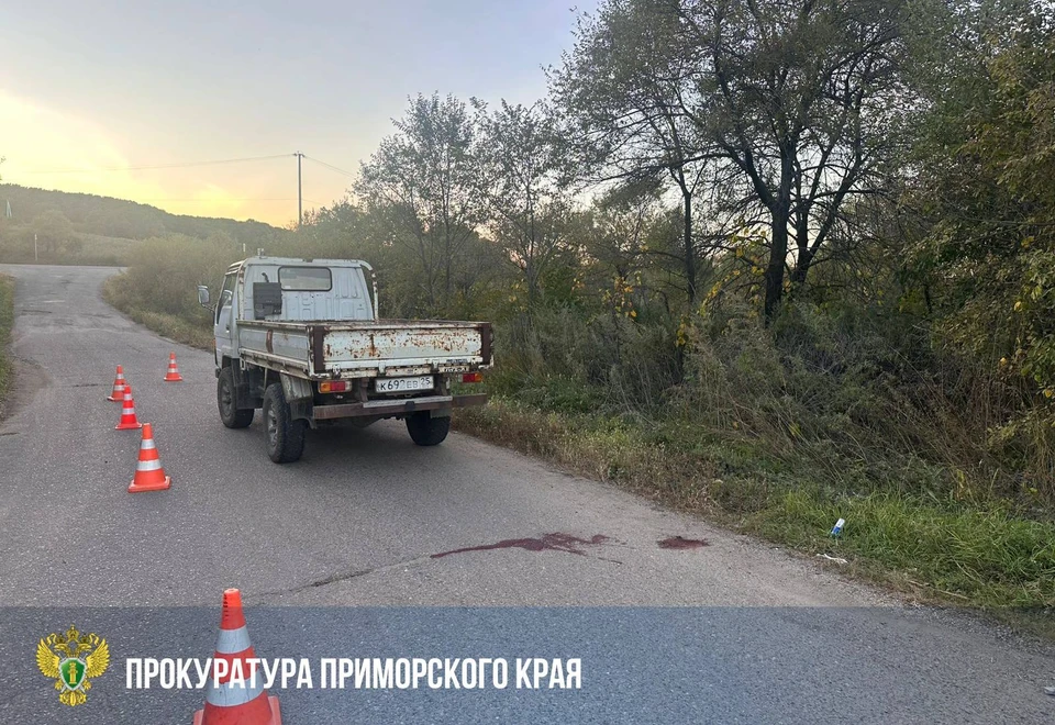 Во время движения дети не удержались и выпали на проезжую часть. Фото: прокуратура Приморья