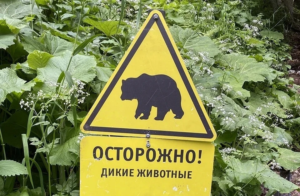 Жителям рекомендуется проявлять особую бдительность и осторожность при нахождении на улице, особенно в вечернее время.
