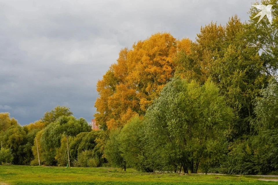Запрет на разведение костров вводился для предотвращения лесных и ландшафтных пожаров
