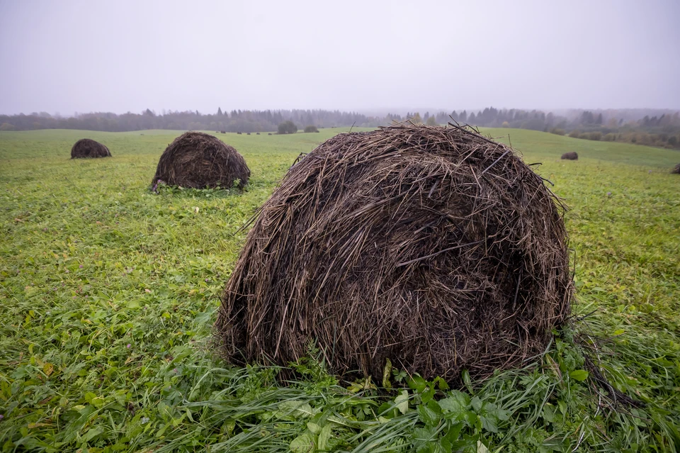 Земли фактически не использовались по назначению.