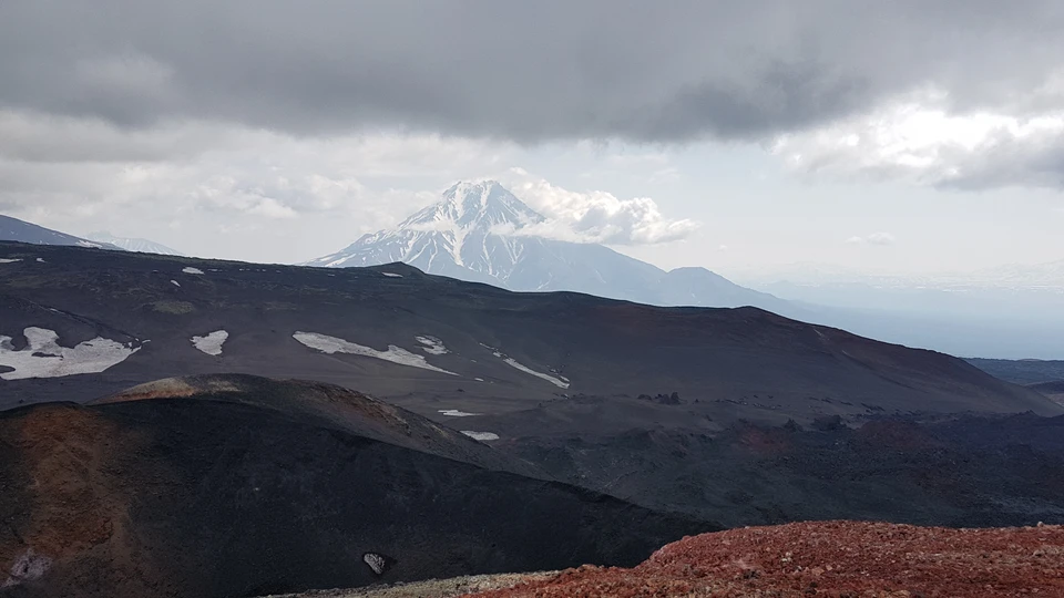 Вулкан Шивелуч на Камчатке произвел мощный выброс пепла