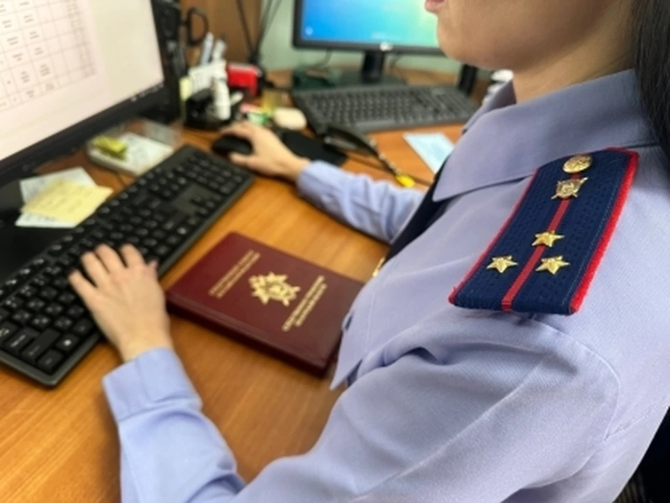 Фото СУ СК РФ по Курской области