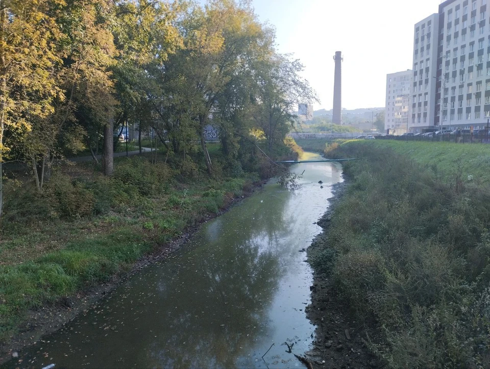 Городские власти рассматривают варианты сохранения уровня воды в реке Борзовка.
