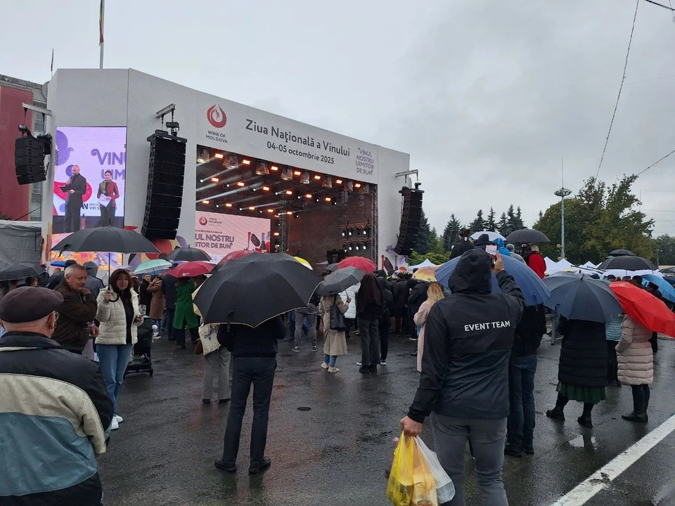 На Дне вина пока немного народа.