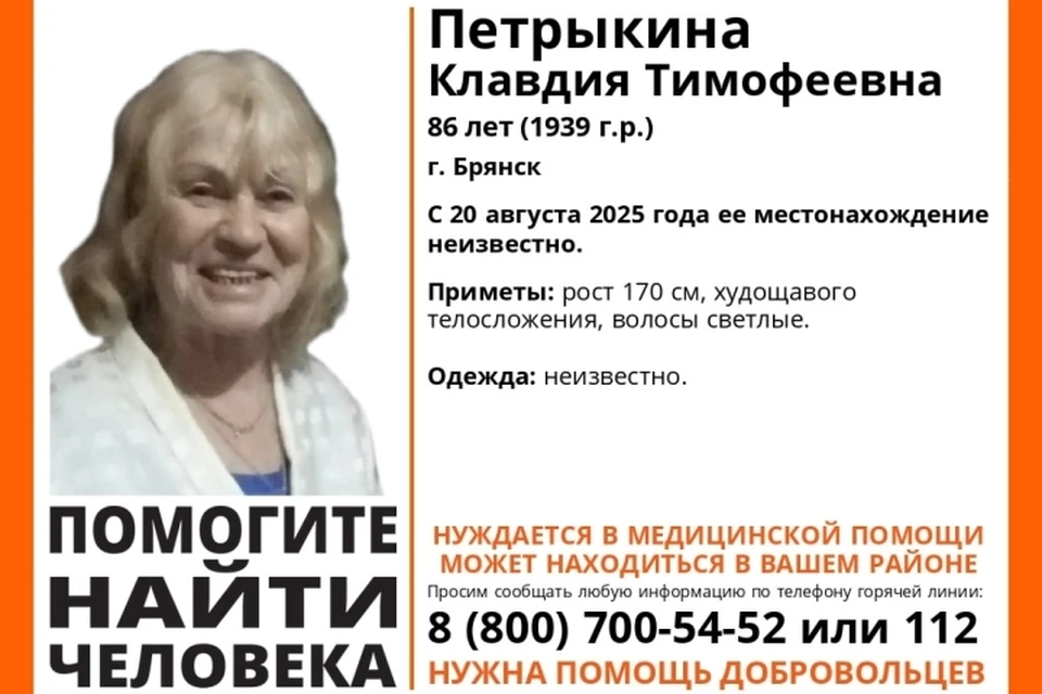 Фото: поисковый отряд "Лиза Алерт", ВКонтакте.