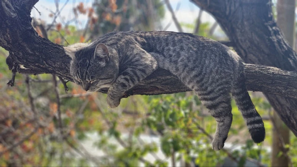 Вакцинация пройдет 11 октября. Фото: sev.gov.ru