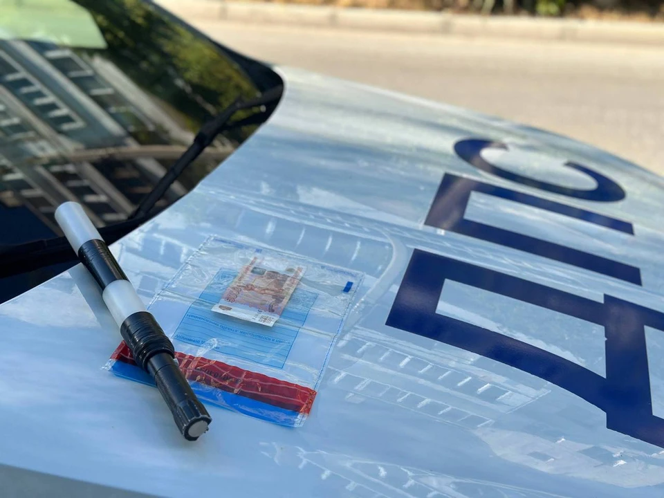 Каждый нарушитель использовал свою незаконную схему избежания наказания. Фото: t.me/umvd_92