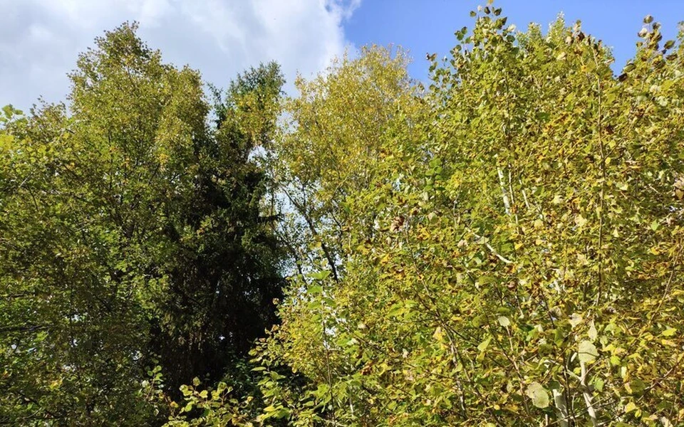 Хорошего дня! Фото: Таня Трушкова