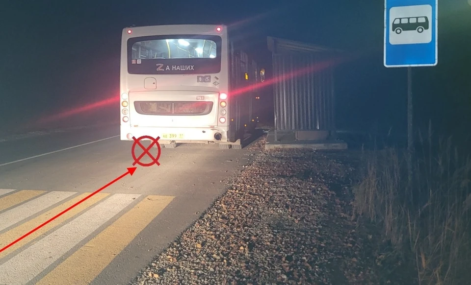 Фото: Госавтоинспекция Коми