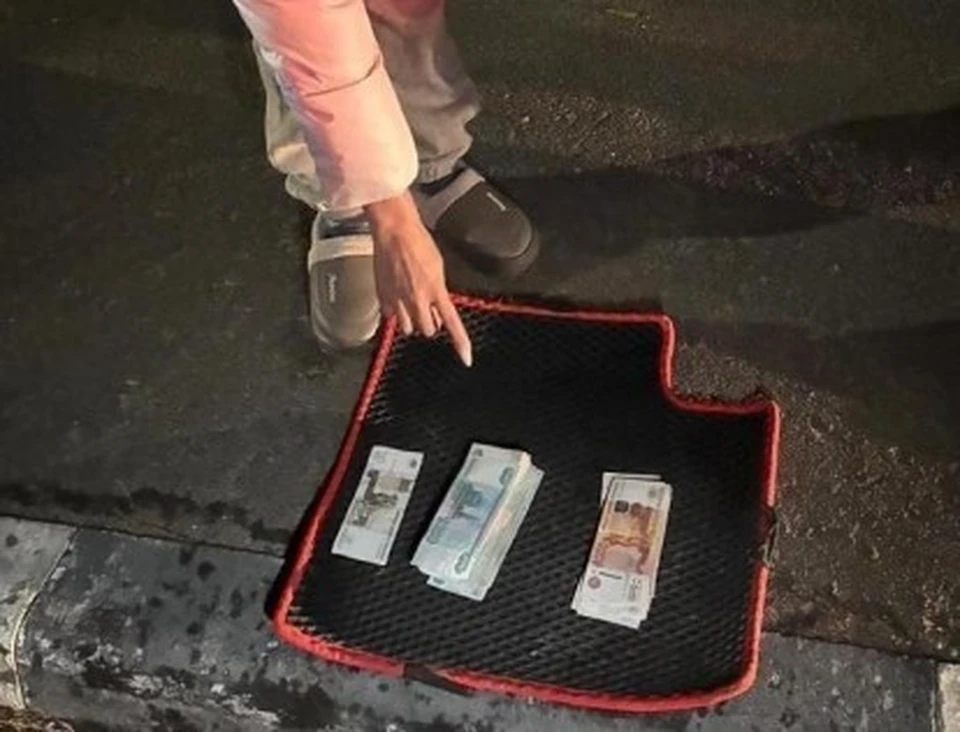 Автомобиль подозреваемой сотрудники Госавтоинспекции задержали по горячим следам. Фото УМВД России по Липецкой области.