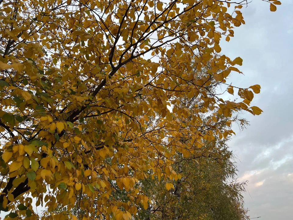 Воздух прогреется до 18°C