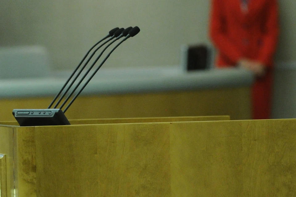 Проект представила зампред правительства региона Ольга Балабкина