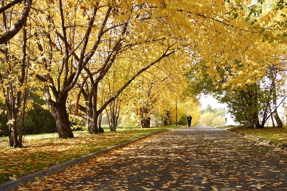 Фото: архив КП.