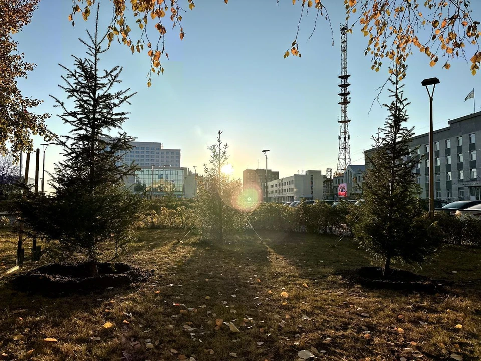 Фото: телеграм-канал главы Сургута