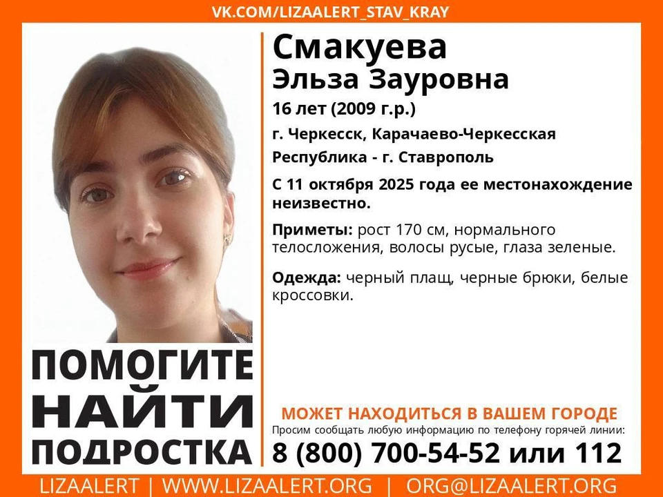 Фото: t.me/lizaalert_stavropol