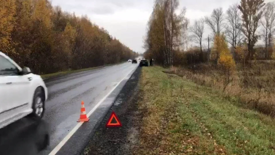 Младенец пострадал в ДТП на автодороге в Нижегородской области. Фото: пресс-служба УГИБДД по Нижегородской области.