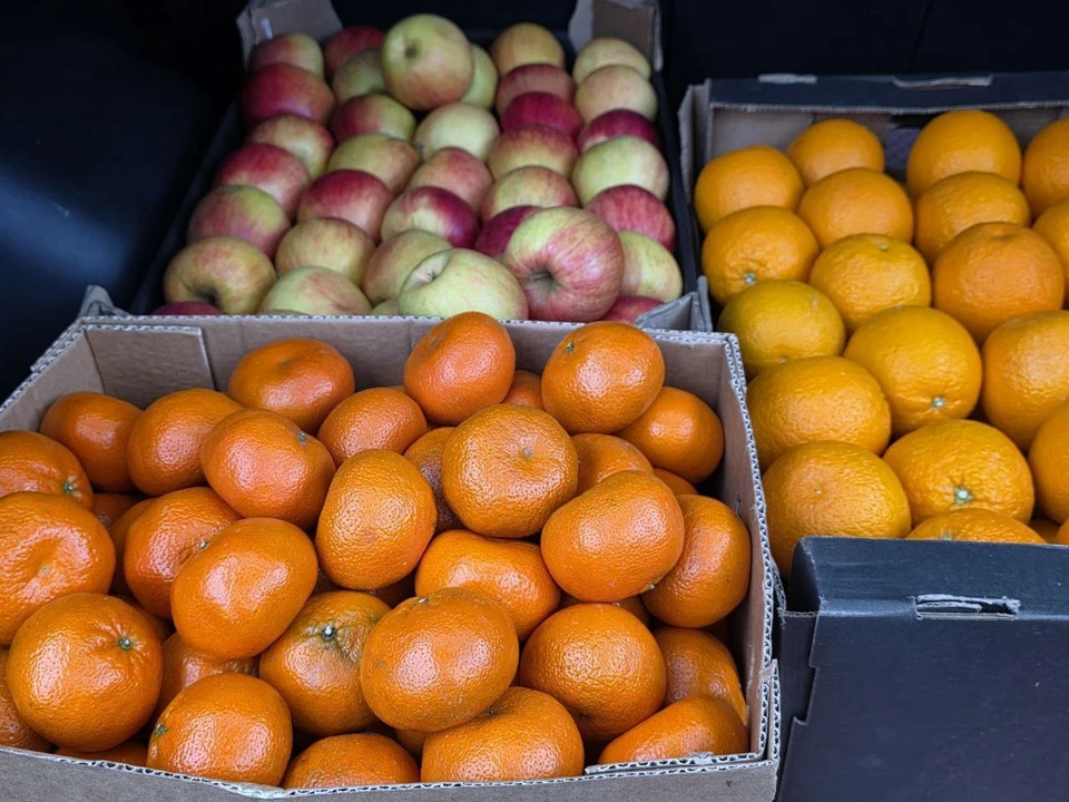 Фото: ТГ-канал Ольги Бас