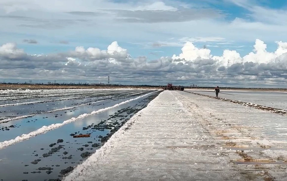 Фото: кадр из видео правительства Крыма/Tg