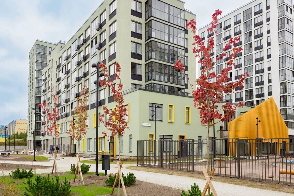 Стены детского сада во Всеволожске расскажут об истории города и района. Источник: t.me/stroyblokLO.