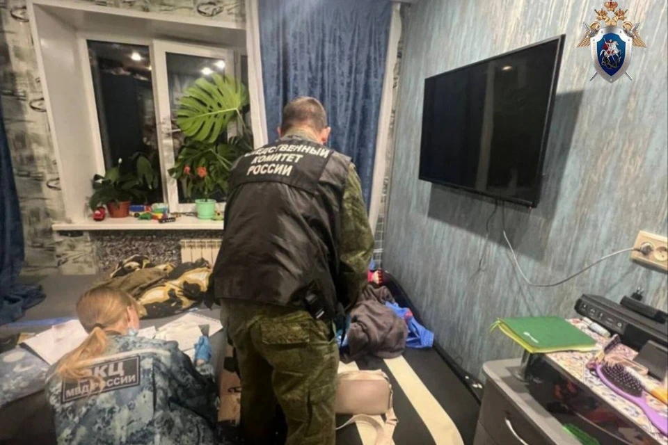 Фото: ГСУ СК России по Красноярскому краю и Республике Хакасия