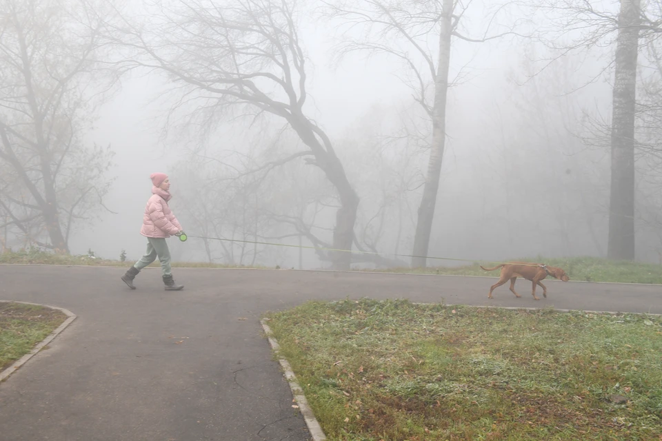Водителей области предупреждают о непогоде.
