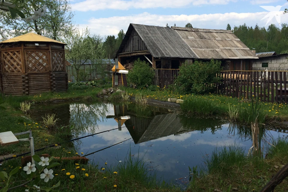 Пруды на дачах в Беларуси ограничат и по количеству, и по величине. Фото носит иллюстрационный характер.