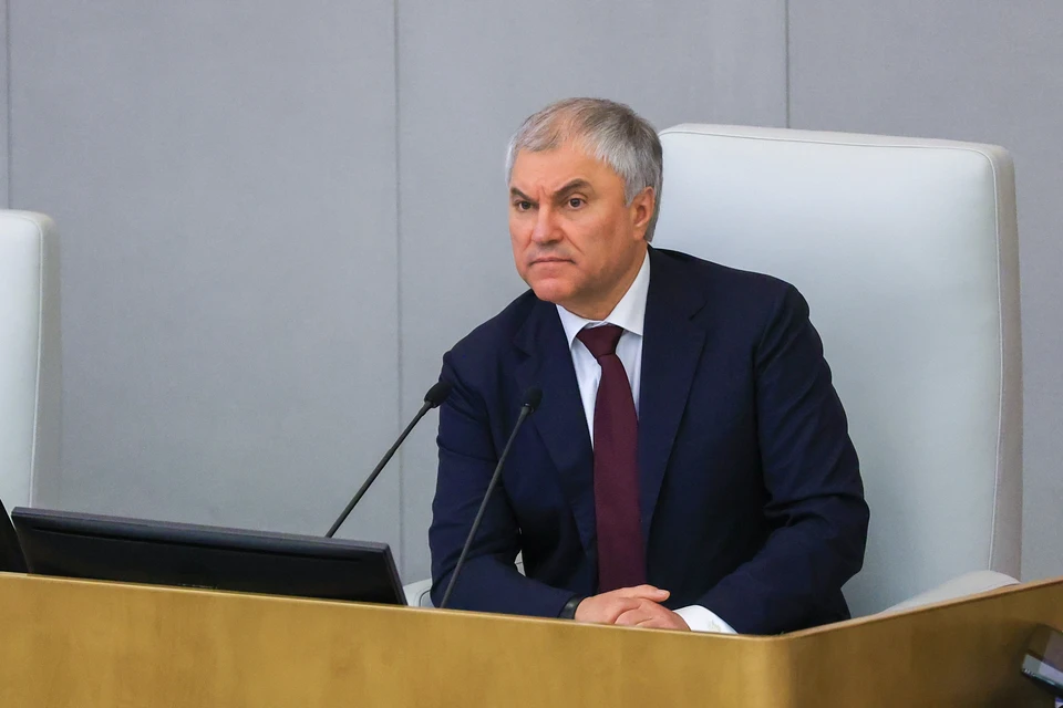 Председатель Государственной Думы Вячеслав Володин