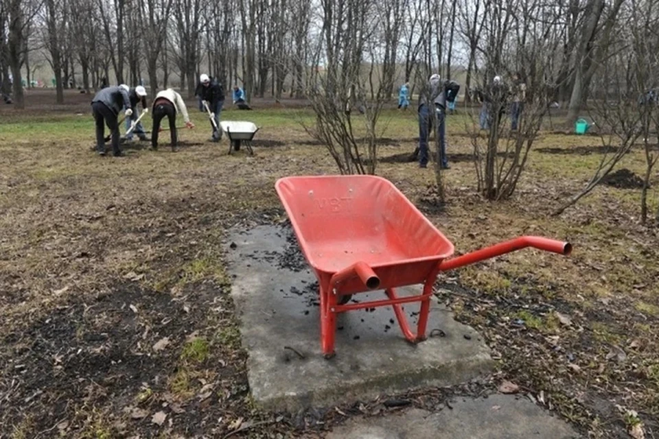 Минтруда Беларуси объяснило, кого не пустят на республиканский субботник 25 октября. Снимок носит иллюстративный характер.