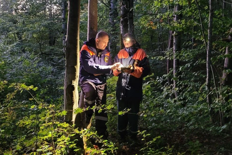 Фото: ЮРПСО МЧС России