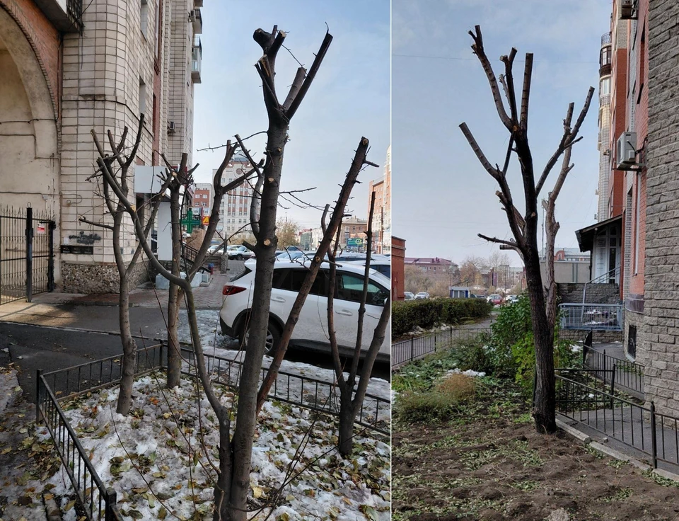 Фото: t.me/ghest_omska