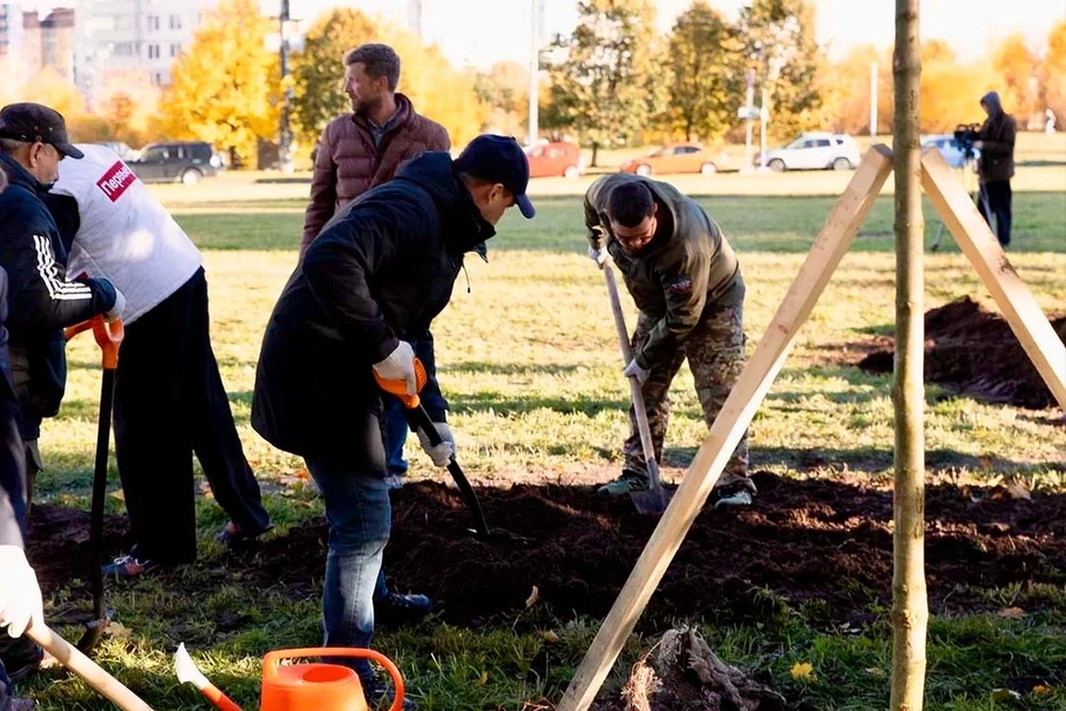 Горожане высадили клены в Приморском районе. Фото: Жилищный комитет