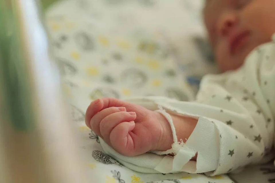 Фото: МинИнформ 64 Z