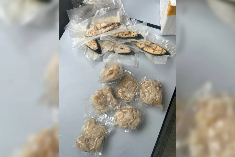 Таможенники изъяли 3 кг мяса медуз у пассажира из Вьетнама. Фото: Иркутская таможня.
