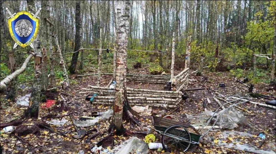 Следственный комитет Беларуси расследует ЧП под Шкловом, где травмированы два подростка. Фото: СК.