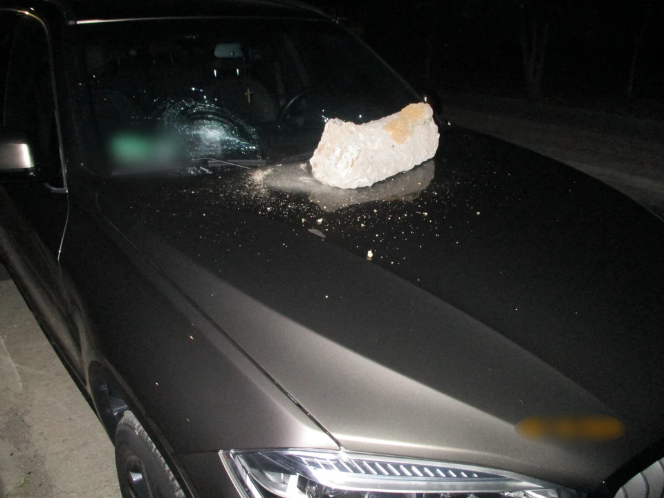 Фото: пресс-служба МВД по РК