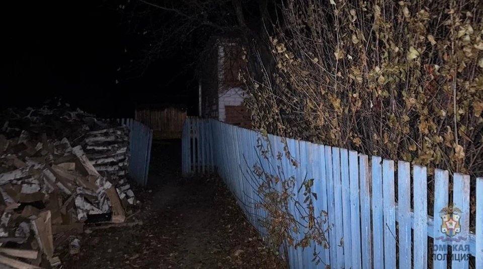 Фото: пресс-служба УМВД России по Омской области