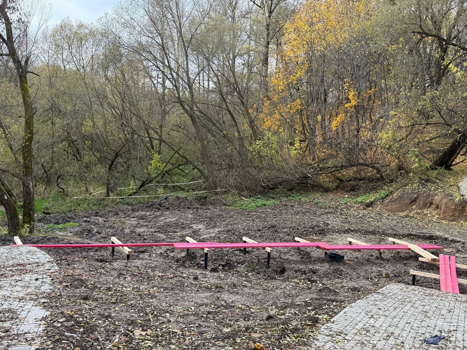 Фото: Александр Новиков, ТГ.