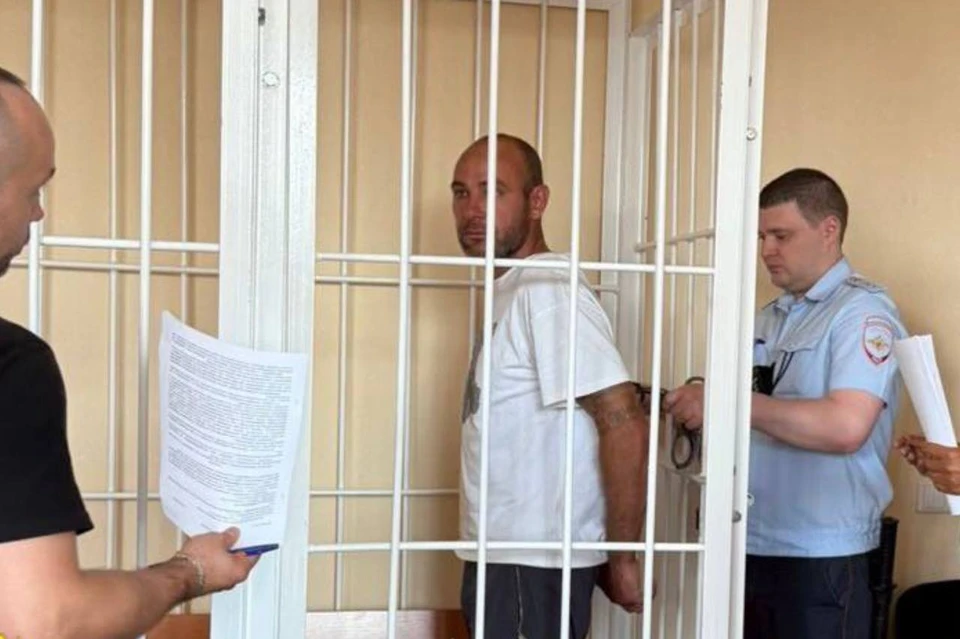 В Новосибирске завершили расследование дела о наезде иномарки на женщину. Фото: прокуратура Новосибирской области