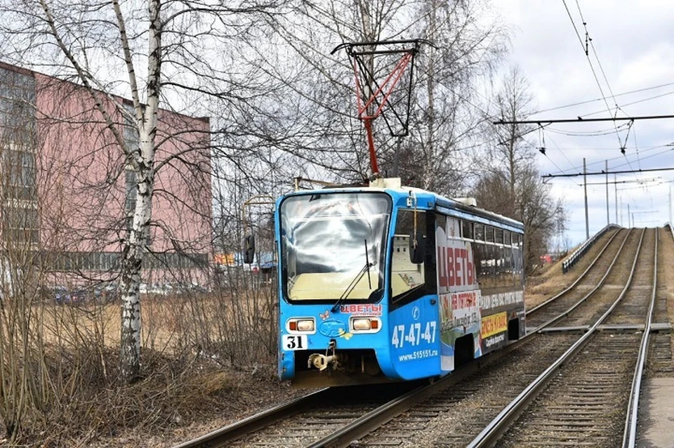 В Ярославле возобновили работу трамвая №5д.