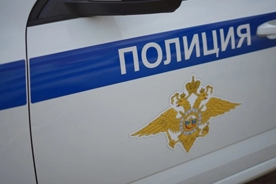 Кировская область участвует в проведении межгосударственного оперативно-профилактического мероприятия. Фото: полиция Кировской области