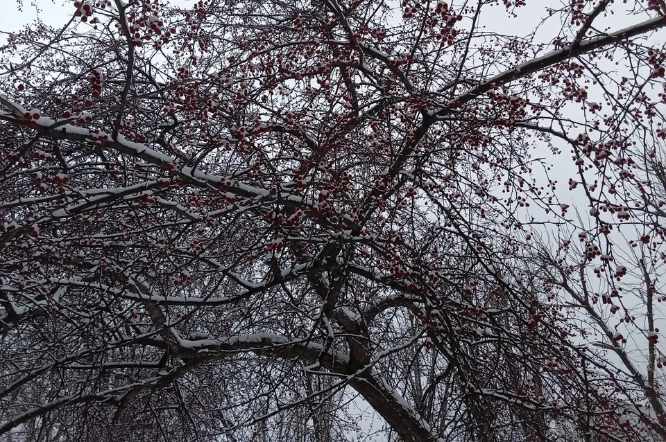 Погода на Ямале на 23 октября