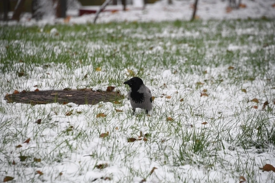 На юге республики, в Нурлатском районе, зима уже успела оставить свой первый след.