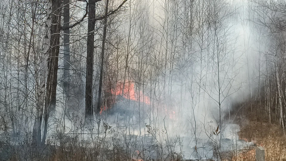 В Новосибирской области пожароопасный сезон в 2025 году длился 190 дней