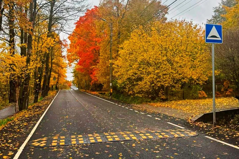 Дороги привели в надлежащий вид. Фото: Смольный