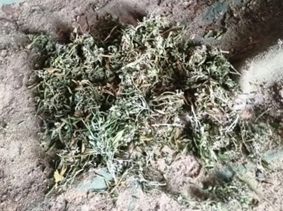 Мужчина сам употреблял запрещенные вещества