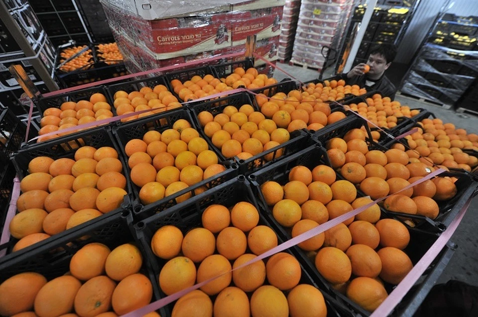 Партия свежих апельсинов заполонит прилавки