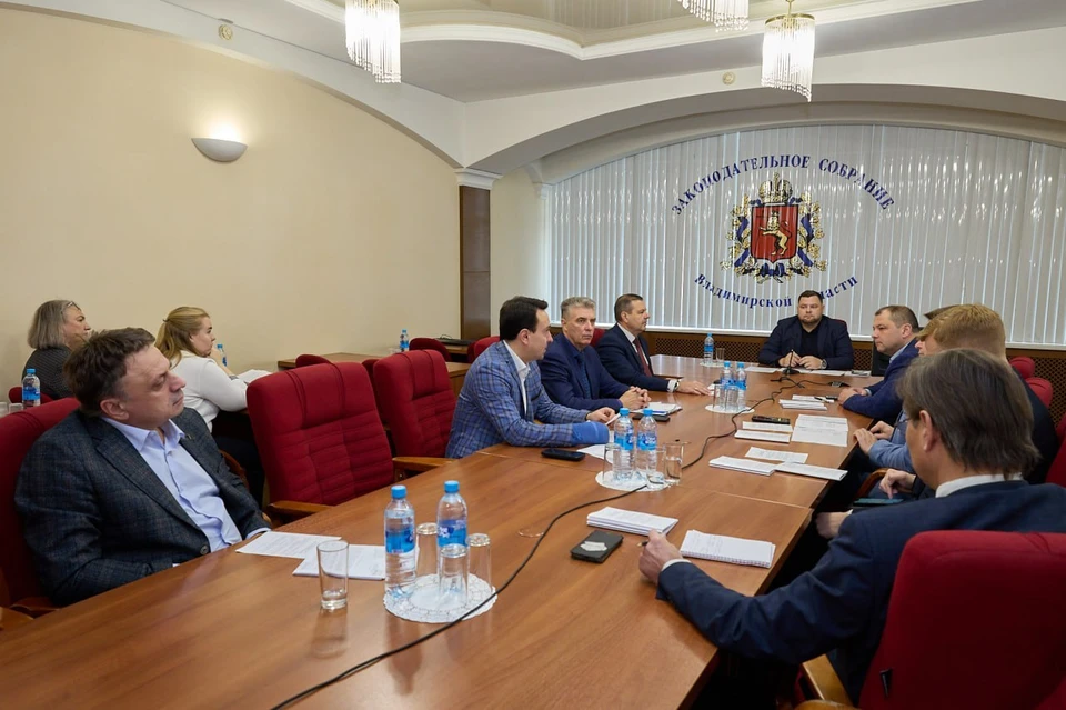 Заседание комитета по местному самоуправлению и административно-территориальному устройству. Фото пресс-службы ЗС.
