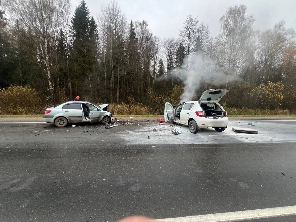 Фото предоставлено читателем портала "КП в Костроме"