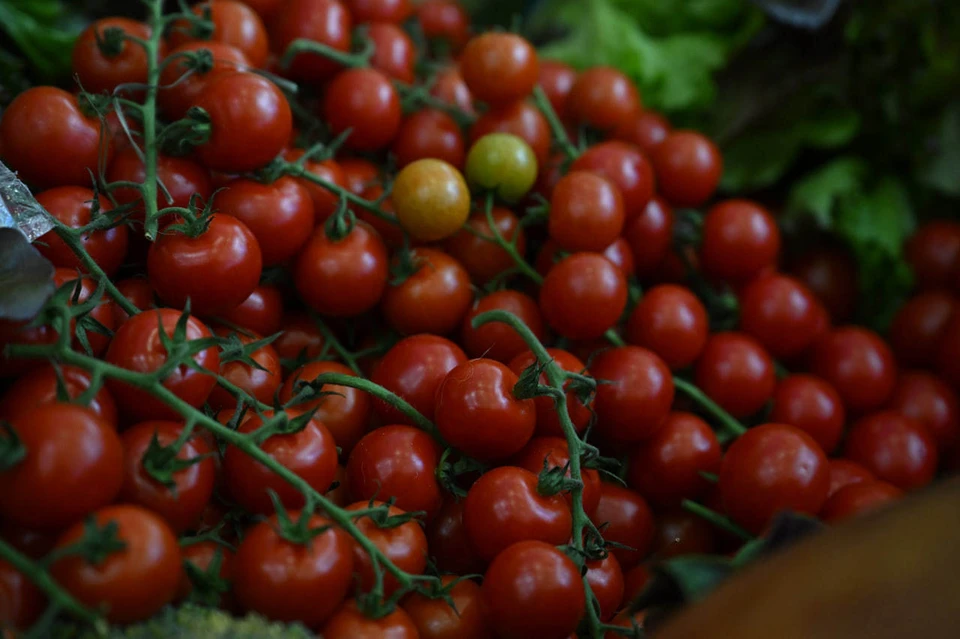 Значительнее всего подорожали помидоры – на 11,65%, теперь они стоят 192,48 рубля за килограмм